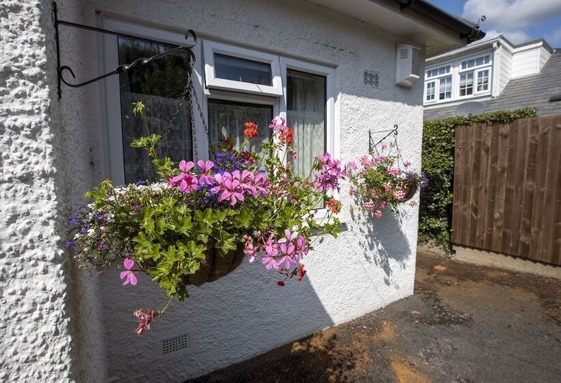 اتاق سوپریور, Eypeleaze B & B