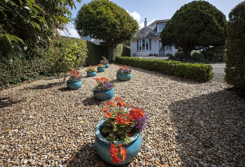 اتاق سوپریور, Eypeleaze B & B