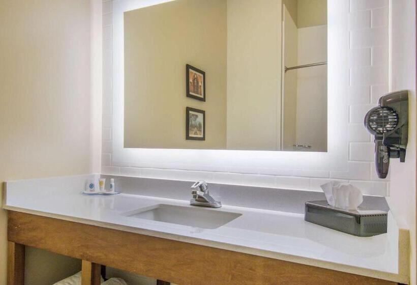 Люкс, Comfort Inn & Suites Harrisburg  Hershey West