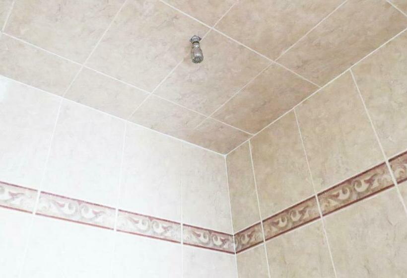 غرفة ديلوكس, Royal Puebla