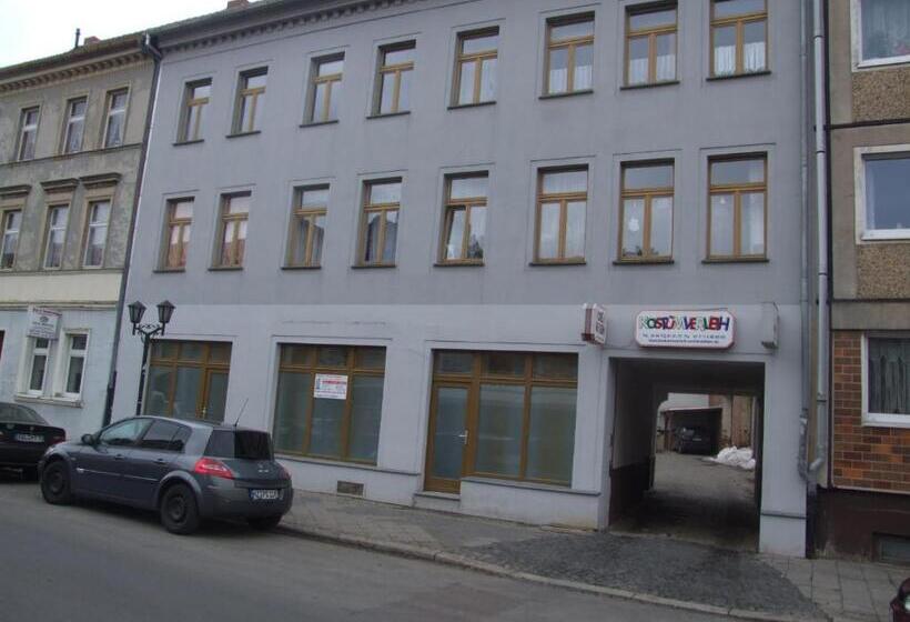 Номер Стандарт Индивидуальный Совместная Ванная, Hostel Vorharz Aschersleben