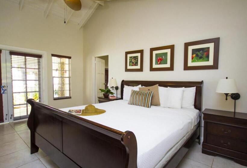 بانگلوی استاندارد با چشم‌انداز دریا, Blue Waters Inn