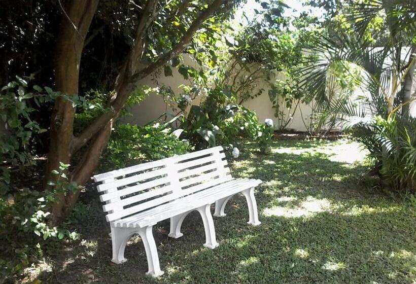 Apartamento Superior 1 Dormitório, Apart Hotel Ilha Residence