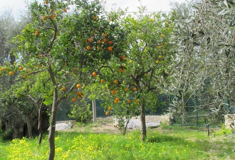 Апартаменты Комфорт 1 Спальня, Tenuta Santa Maria