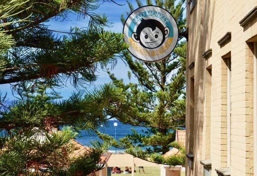공용 욕실 구비 공동 객실 내의 침대, Mad Monkey Hostel Coogee Beach