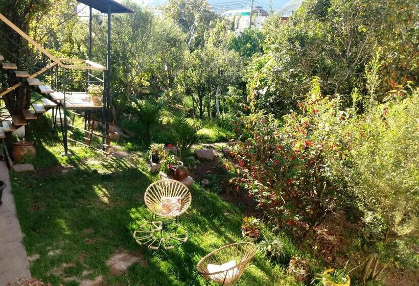 اتاق استاندارد یک نفره, Hospedaje Venka Urubamba   Hostel