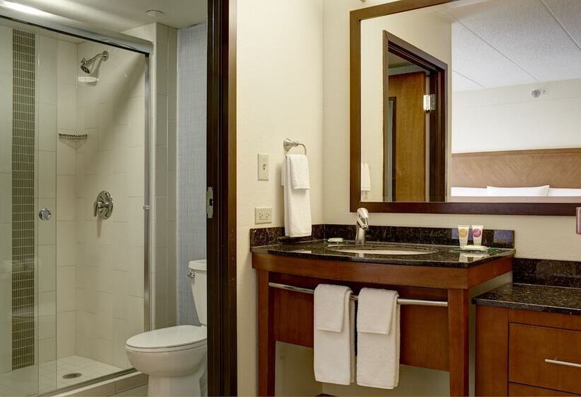 Номер Стандарт 2 Двуспальные Кровати, Hyatt Place Chicago Hoffman Estates
