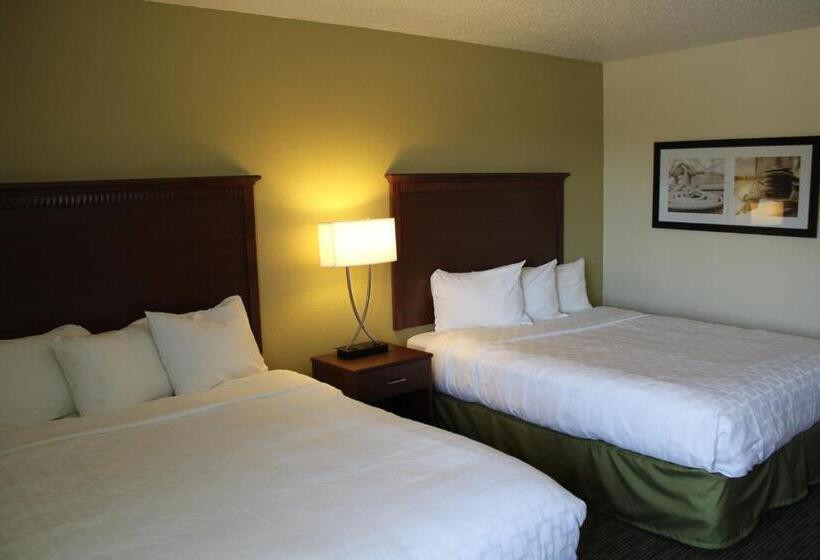 Номер Стандарт, Nichols Inn & Suites