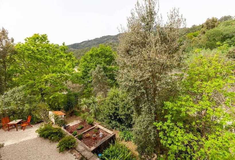 غرفة قياسية فردية, Casa Do Cabeço