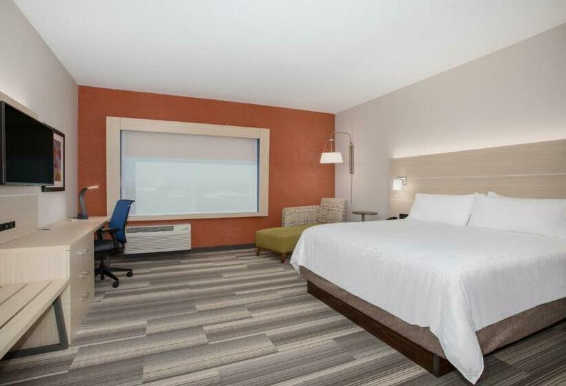 이그제큐티브 룸 킹사이즈 침대, Holiday Inn Express & Suites   Denver Ne   Brighton, An Ihg
