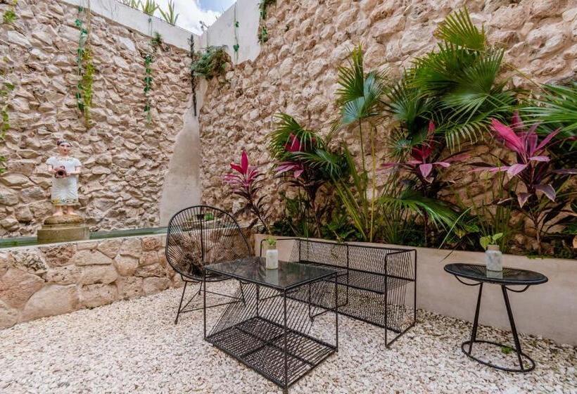 חדר דלוקס, Colonial Zaci By Guru