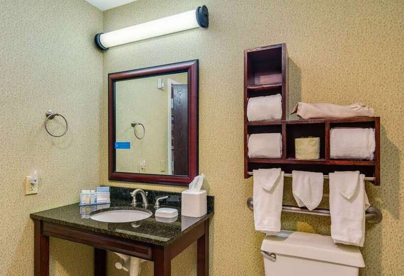 Номер Стандарт Кровать Кинг Адаптированный для Инвалидов, Doubletree By Hilton Omaha Southwest