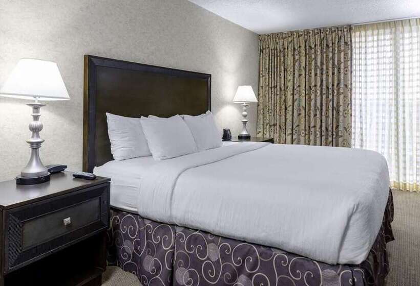 Номер Стандарт, Doubletree By Hilton Omaha Southwest