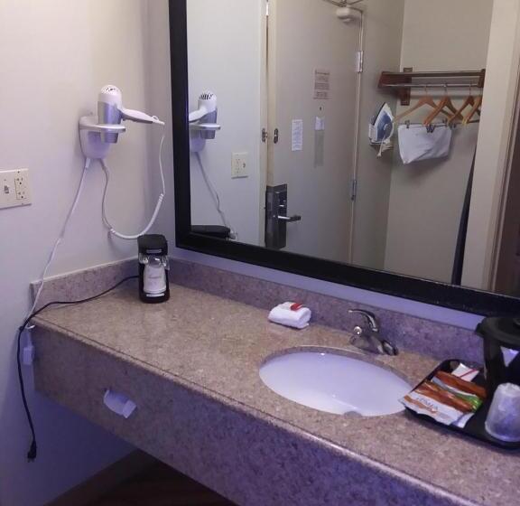 Suite King Size Bed, Travelodge By Wyndham Columbus State University