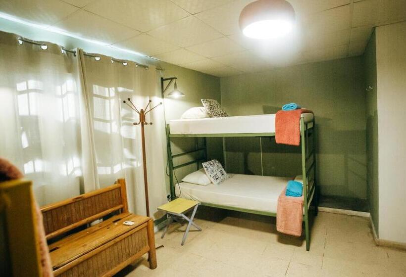 سرير فى غرفة مشتركه, Hostal & Café Travelers