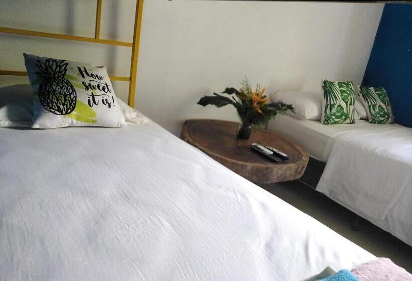 标准间, Hostal & Café Travelers
