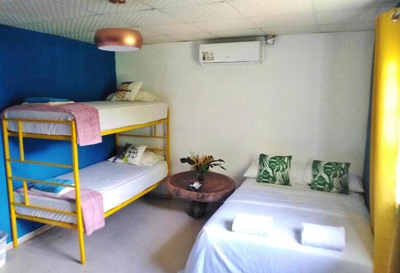 标准间, Hostal & Café Travelers