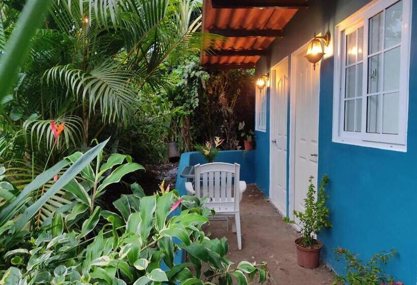 غرفة قياسية مزوَّدة بتراس, Hostal & Café Travelers