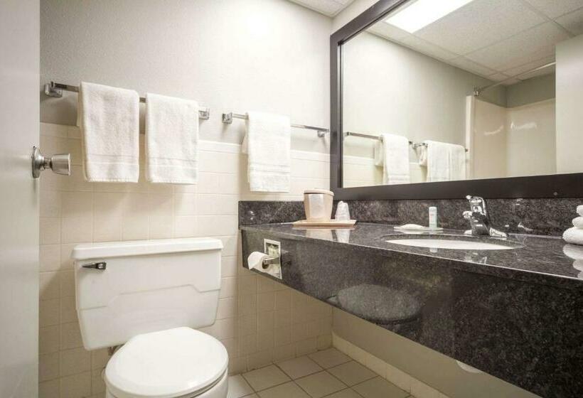 Люкс, Suburban Studios I80 Grand Island