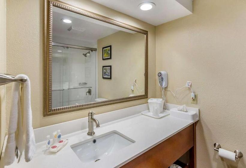 Стандартный Номер Кровать Кинг, Comfort Inn