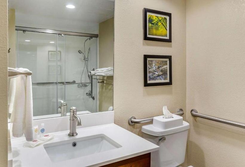 Quarto Estandar Cama King para Deficientes Físicos, Comfort Inn