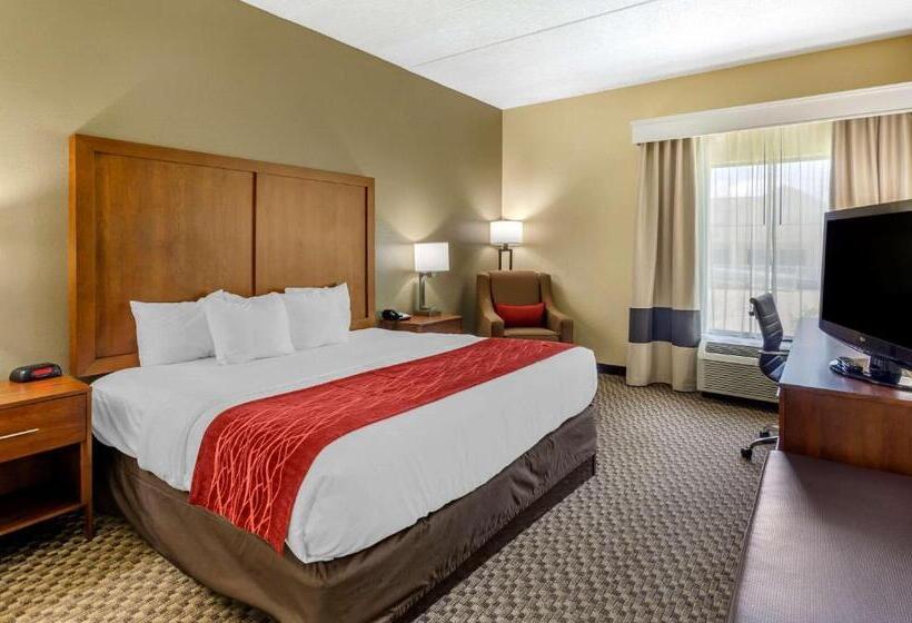 Номер Стандарт Кровать Кинг Адаптированный для Инвалидов, Comfort Inn