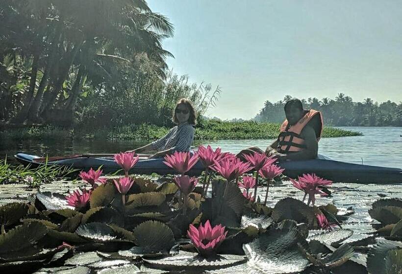 اتاق عادی, Sunsets And Palm Trees