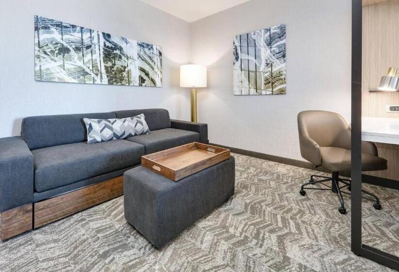 Люкс Адаптированный для Инвалидов, Springhill Suites By Marriott Dallas Mansfield