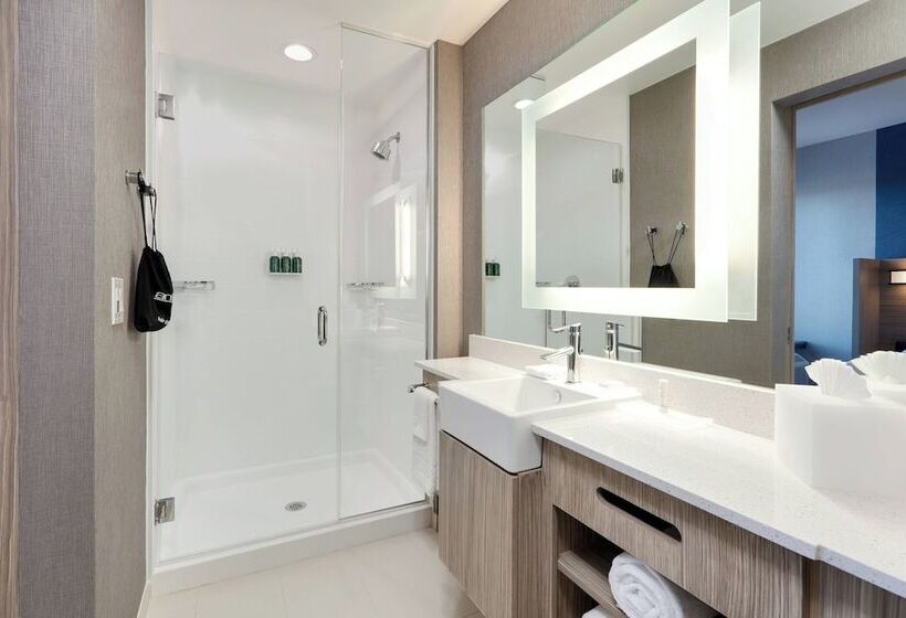 Люкс, Springhill Suites By Marriott Dallas Mansfield