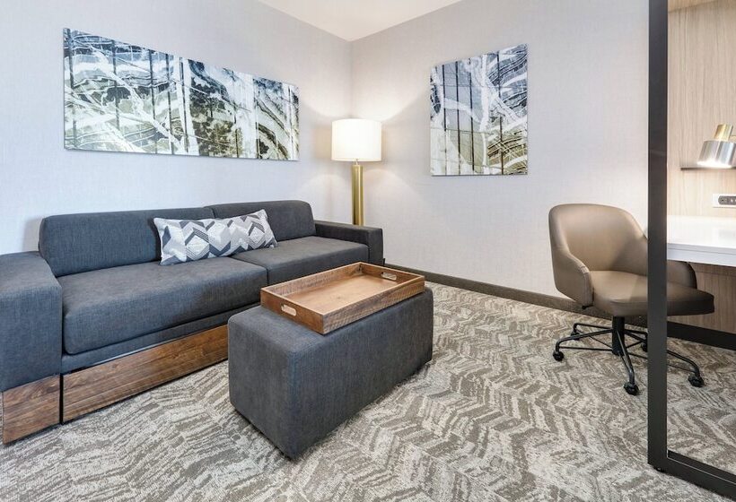 Люкс Адаптированный для Инвалидов, Springhill Suites By Marriott Dallas Mansfield
