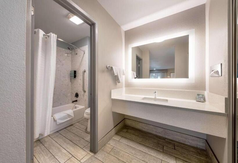 Номер Стандарт, Best Western Big Country Inn
