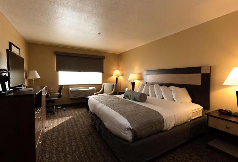 Номер Стандарт Кровать Кинг Адаптированный для Инвалидов, Best Western Sawtooth Inn And Suites