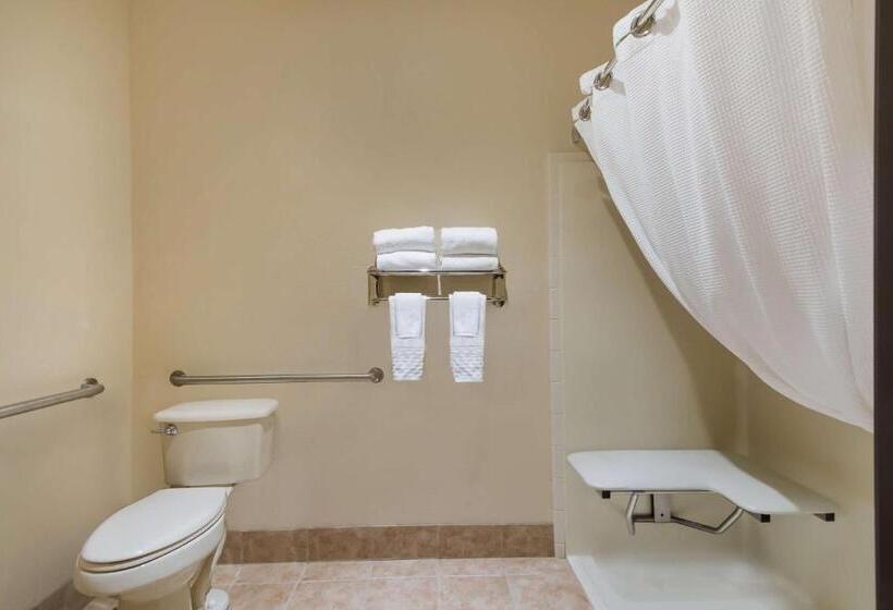 Номер Стандарт Кровать Кинг Адаптированный для Инвалидов, Best Western University Inn And Suites