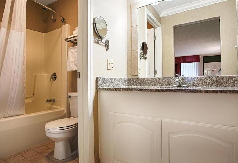 Стандартный Номер Кровать Кинг, Best Western Wilderness Trail Inn