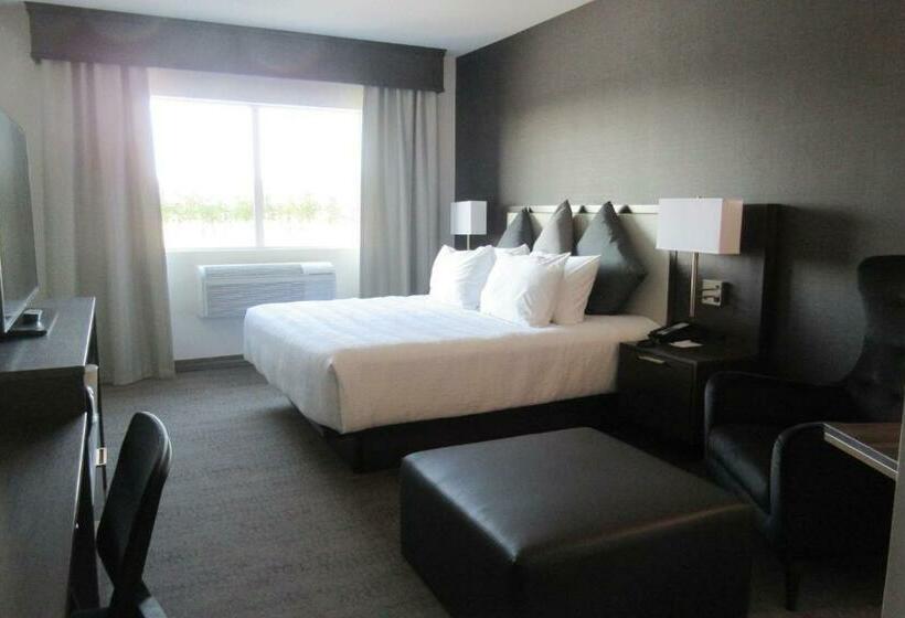 带大床的标准间, Best Western Plus Morden