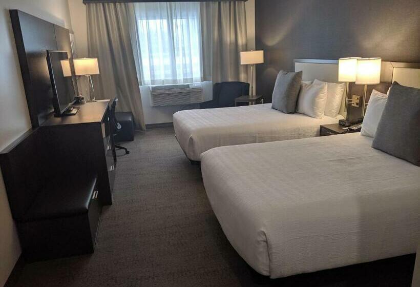 标准间, Best Western Plus Morden