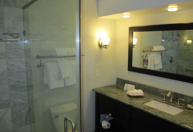 Номер Стандарт 2 Двуспальные Кровати, Best Western Premier Hotel Del Mar