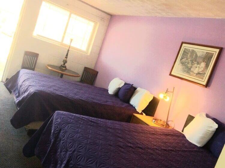 Номер Стандарт, Capri Motel