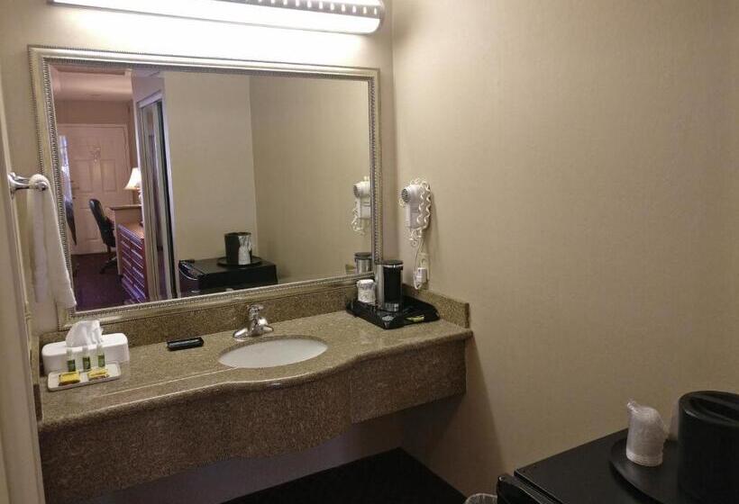 带大床的标准间, Burbank Inn And Suites