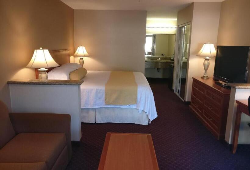 带大床的标准间, Burbank Inn And Suites