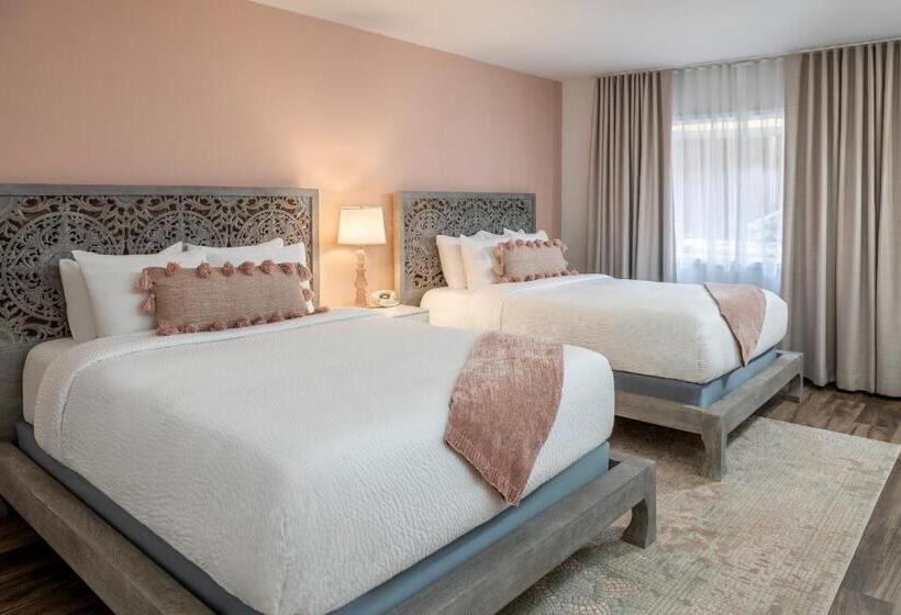 Номер Стандарт, Cardiff By The Sea Lodge