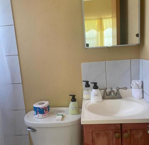 اتاق لوکس, Beverley's Guest House, Nevis