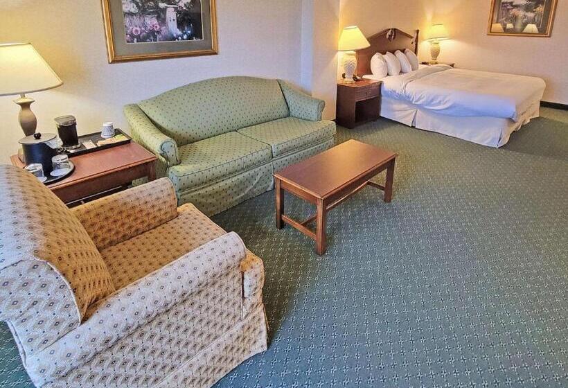 Стандартный Номер Кровать Кинг, Radisson Hotel Cedar Rapids