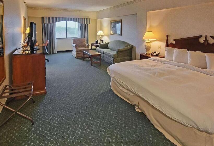 带大床的标准间, Radisson Hotel Cedar Rapids