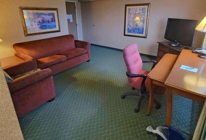 Люкс Адаптированный для Инвалидов, Radisson Hotel Cedar Rapids