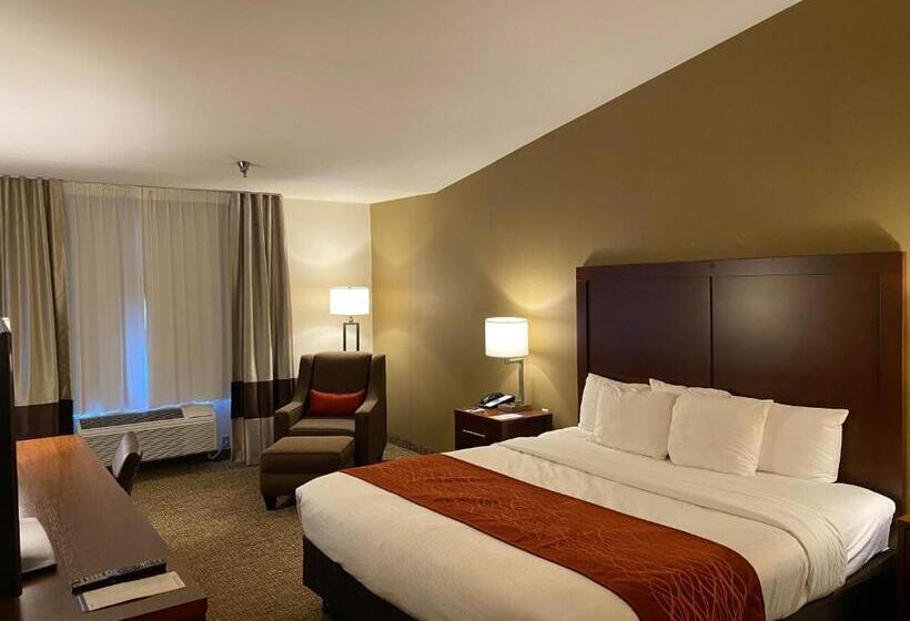 Номер Стандарт Кровать Кинг Адаптированный для Инвалидов, Comfort Inn Marina On The Monterey Bay