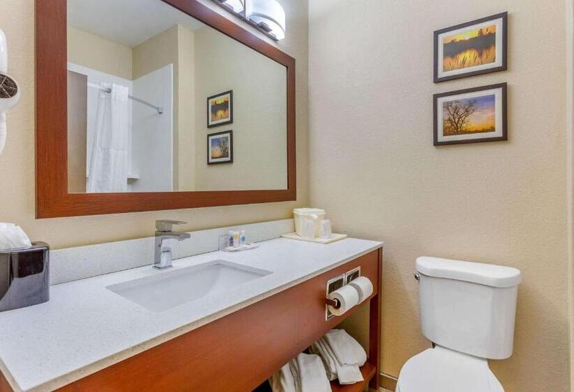 Standard Værelse King Size Seng, Comfort Inn Rockford Near Casino District