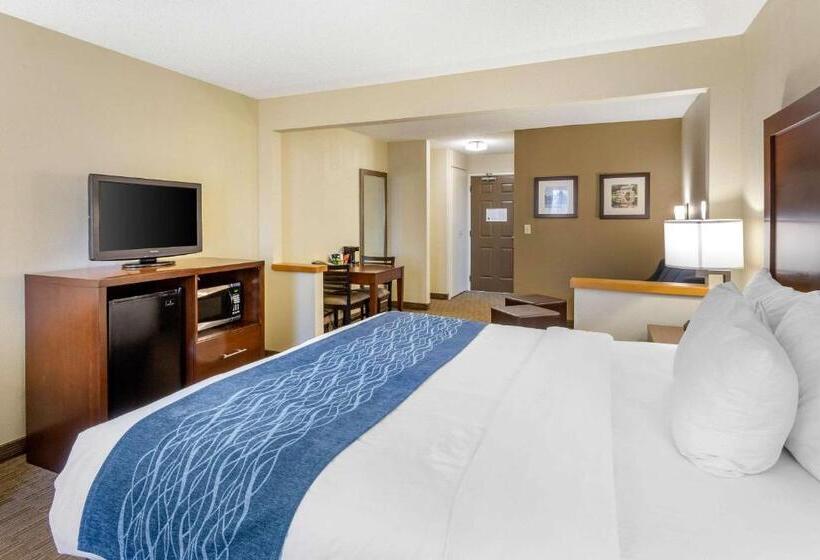 Suite King Size Seng, Comfort Inn Rockford Near Casino District