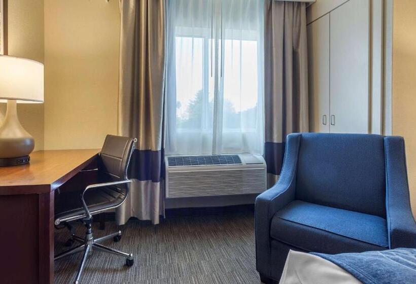 Standard Værelse Tilpasset til Handicappede, Comfort Inn Rockford Near Casino District