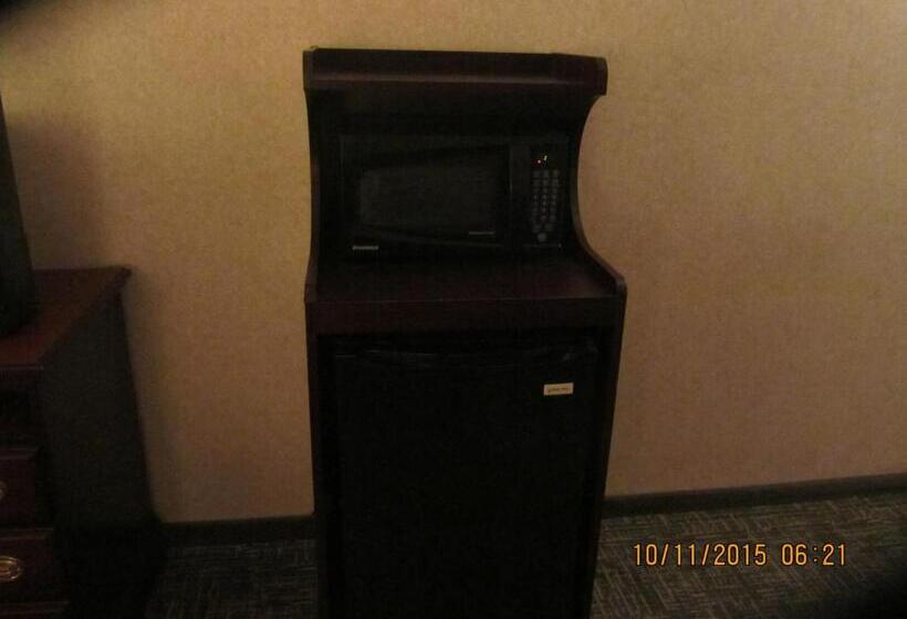 Quarto Estandar Cama King para Deficientes Físicos, Executive Inn And Suites Wichita Falls